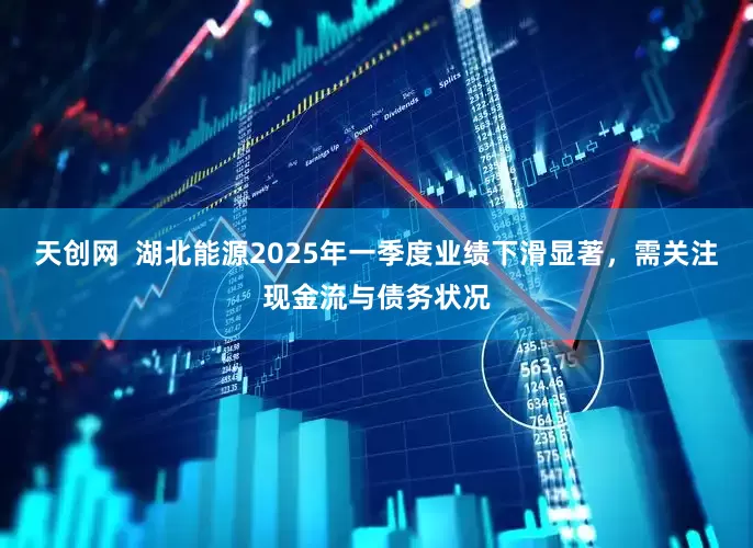 天创网  湖北能源2025年一季度业绩下滑显著，需关注现金流与债务状况