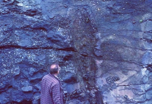 云燚网 这种生活在4亿多年前的生物, 可能是地球生命中的“异类”