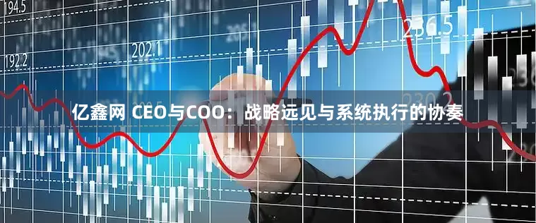 亿鑫网 CEO与COO：战略远见与系统执行的协奏