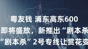 粤友钱 浦东高东6000多株樱花即将盛放，新推出“剧本杀”2号专线让赏花变好玩